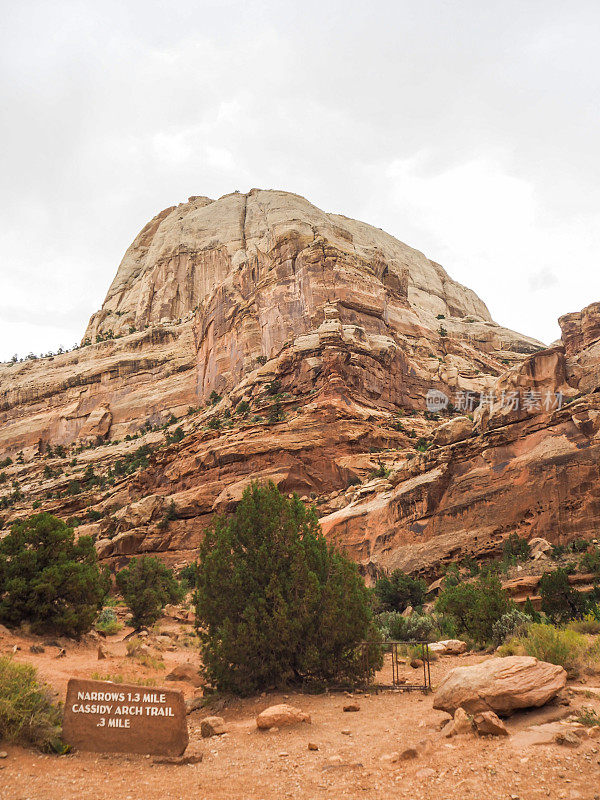 Grand Wash Trail，国会礁国家公园，犹他州，美国